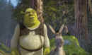 shrek218.jpg (121636 bytes)