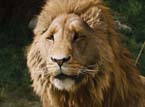narnia46