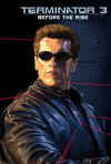 terminator301.jpg (77239 bytes)