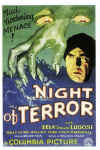 nightterror01.jpg (112435 bytes)