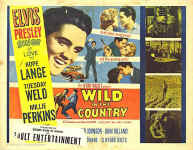 wildinthecountry02.jpg (108257 bytes)