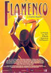 flamenco9501.jpg (88759 bytes)