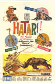 hatari05.jpg (199234 bytes)